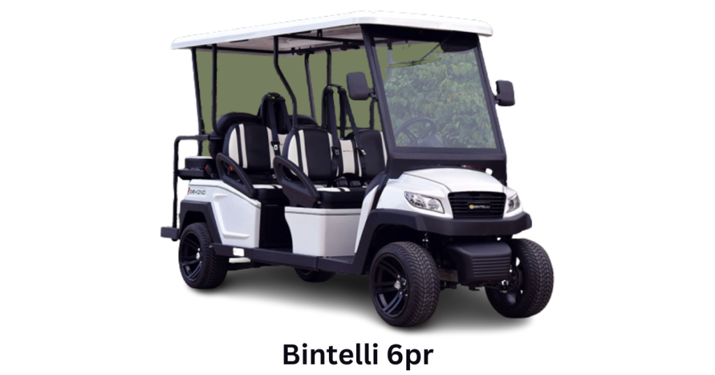 Bintelli 6pr